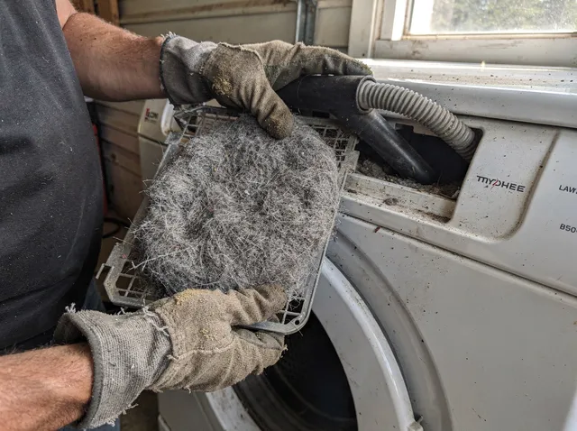 Cleaning Dryer Lint Trap in Norwell